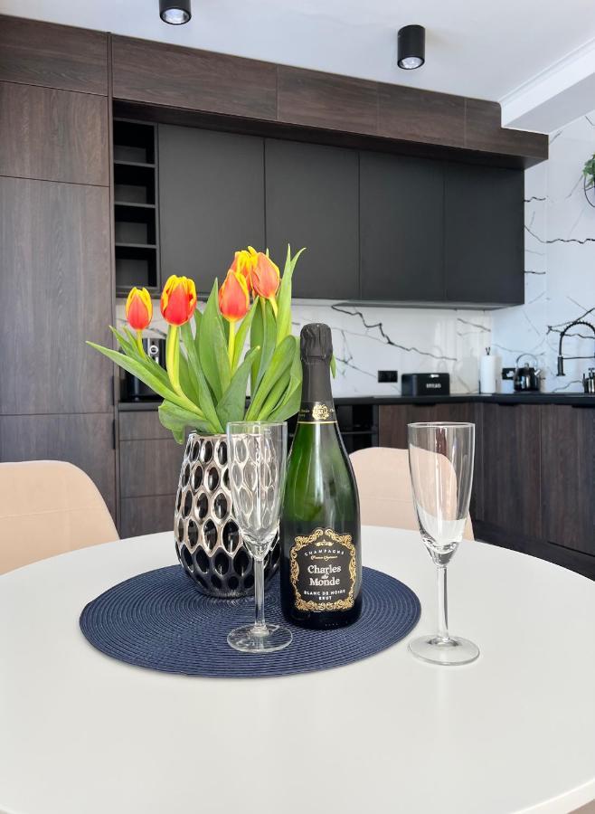 Apartment Silesia H125 Ustron