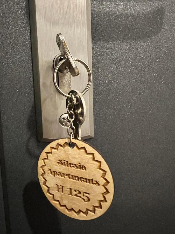 Silesia H125 Apartment *